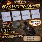 ヒメ日記 2026/05/15 12:39 投稿 うい 鹿児島ちゃんこ霧島店