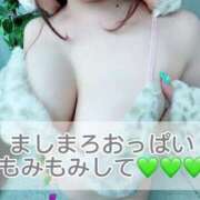 ヒメ日記 2025/04/18 11:36 投稿 夏木ひまり 五反田ウルトラファンタジー