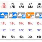 ヒメ日記 2024/03/22 22:16 投稿 まつり ご近所物語