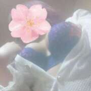 ヒメ日記 2025/11/05 20:56 投稿 まつり ご近所物語