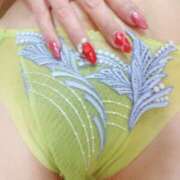 ヒメ日記 2024/12/30 12:15 投稿 みお 奥鉄オクテツ東京店（デリヘル市場）