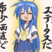 ヒメ日記 2025/01/19 19:36 投稿 そら ぷよステーション 蒲田店