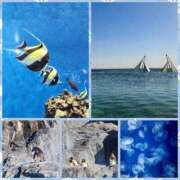 ヒメ日記 2025/02/11 19:28 投稿 七瀬実音 五十路マダムエクスプレス船橋店(カサブランカグループ)