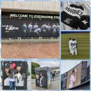 ヒメ日記 2025/04/03 20:16 投稿 七瀬実音 五十路マダムエクスプレス船橋店(カサブランカグループ)