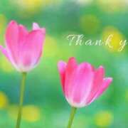 ヒメ日記 2025/04/27 20:16 投稿 七瀬実音 五十路マダムエクスプレス船橋店(カサブランカグループ)