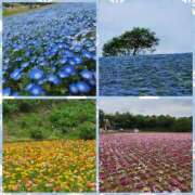 ヒメ日記 2025/04/28 18:38 投稿 七瀬実音 五十路マダムエクスプレス船橋店(カサブランカグループ)