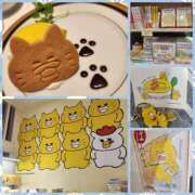 ヒメ日記 2025/05/22 21:44 投稿 七瀬実音 五十路マダムエクスプレス船橋店(カサブランカグループ)