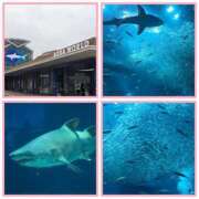 ヒメ日記 2025/09/10 19:14 投稿 七瀬実音 五十路マダムエクスプレス船橋店(カサブランカグループ)