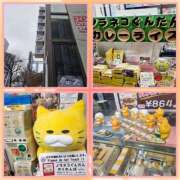 ヒメ日記 2026/03/20 16:50 投稿 七瀬実音 五十路マダムエクスプレス船橋店(カサブランカグループ)