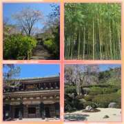 ヒメ日記 2026/04/08 19:48 投稿 七瀬実音 五十路マダムエクスプレス船橋店(カサブランカグループ)