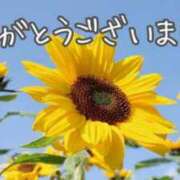 ヒメ日記 2026/08/15 21:30 投稿 七瀬実音 五十路マダムエクスプレス船橋店(カサブランカグループ)
