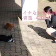 ヒメ日記 2025/01/19 16:15 投稿 青葉 ちなつ イケない女教師 大阪店