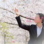 ヒメ日記 2025/04/15 12:16 投稿 青葉 ちなつ イケない女教師 大阪店