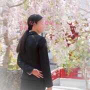 ヒメ日記 2025/04/22 10:01 投稿 青葉 ちなつ イケない女教師 大阪店