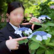 ヒメ日記 2025/06/12 18:30 投稿 青葉 ちなつ イケない女教師 大阪店