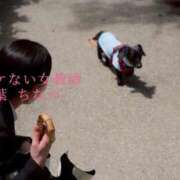 ヒメ日記 2025/06/25 02:38 投稿 青葉 ちなつ イケない女教師 大阪店