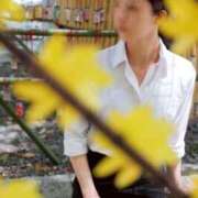 ヒメ日記 2025/08/07 12:30 投稿 青葉 ちなつ イケない女教師 大阪店