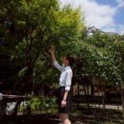 ヒメ日記 2025/09/20 18:30 投稿 青葉 ちなつ イケない女教師 大阪店