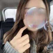 ヒメ日記 2024/12/29 13:03 投稿 めぐみ もしもし亀よ亀さんよ 名古屋店