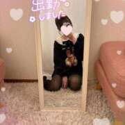 ヒメ日記 2025/03/07 12:53 投稿 しいな cocoro