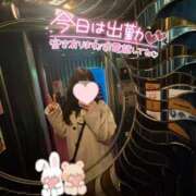 ヒメ日記 2025/03/19 19:43 投稿 しいな cocoro