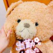 ヒメ日記 2025/03/22 10:53 投稿 しいな cocoro