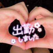 ヒメ日記 2025/03/26 11:04 投稿 しいな cocoro