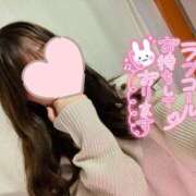 ヒメ日記 2025/03/27 07:43 投稿 しいな cocoro