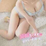 ヒメ日記 2025/04/09 03:13 投稿 しいな cocoro