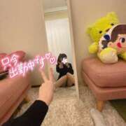 ヒメ日記 2025/04/23 15:23 投稿 しいな cocoro