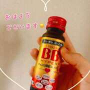 ヒメ日記 2025/04/24 08:43 投稿 しいな cocoro