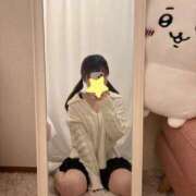 ヒメ日記 2025/07/17 09:23 投稿 しいな cocoro