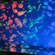 ヒメ日記 2025/02/02 19:39 投稿 高咲　陽菜 極みSPAネクサス東海(旧イマジン名古屋)