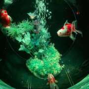 ヒメ日記 2025/09/25 20:09 投稿 高咲　陽菜 極みSPAネクサス東海(旧イマジン名古屋)