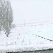 ヒメ日記 2025/01/10 22:03 投稿 宝石　なつめ OL精薬