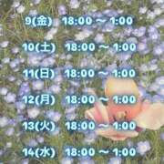 ヒメ日記 2025/05/08 12:18 投稿 宝石　なつめ OL精薬