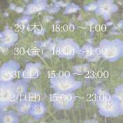 ヒメ日記 2026/01/28 20:06 投稿 宝石　なつめ OL精薬