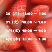 ヒメ日記 2026/03/30 02:15 投稿 宝石　なつめ OL精薬