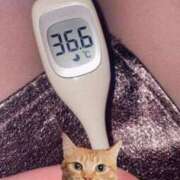 ヒメ日記 2026/04/04 19:45 投稿 宝石　なつめ OL精薬