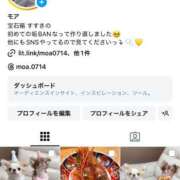 ヒメ日記 2024/12/11 13:12 投稿 モア 宝石箱(すすきの)