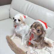 ヒメ日記 2024/12/20 20:49 投稿 モア 宝石箱(すすきの)