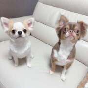 ヒメ日記 2024/12/30 16:33 投稿 モア 宝石箱(すすきの)