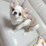 ヒメ日記 2025/03/17 13:42 投稿 モア 宝石箱(すすきの)