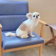 ヒメ日記 2025/04/28 12:48 投稿 モア 宝石箱(すすきの)