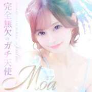 ヒメ日記 2025/11/19 19:03 投稿 モア 宝石箱(すすきの)