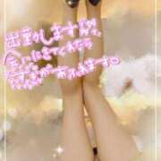 ヒメ日記 2025/02/03 08:03 投稿 麻紀-maki- MANDALA