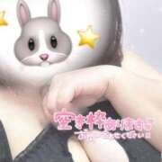 ヒメ日記 2025/08/13 03:18 投稿 四谷～YOTSUYA～ BBW 西川口店