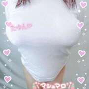 ヒメ日記 2025/10/09 23:57 投稿 四谷～YOTSUYA～ BBW 西川口店