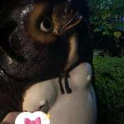 ヒメ日記 2025/10/27 02:33 投稿 四谷～YOTSUYA～ BBW 西川口店