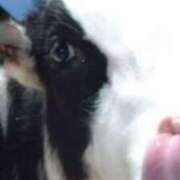 ヒメ日記 2024/12/19 19:38 投稿 久城朝香 五十路マダム愛されたい熟女たち 津山店